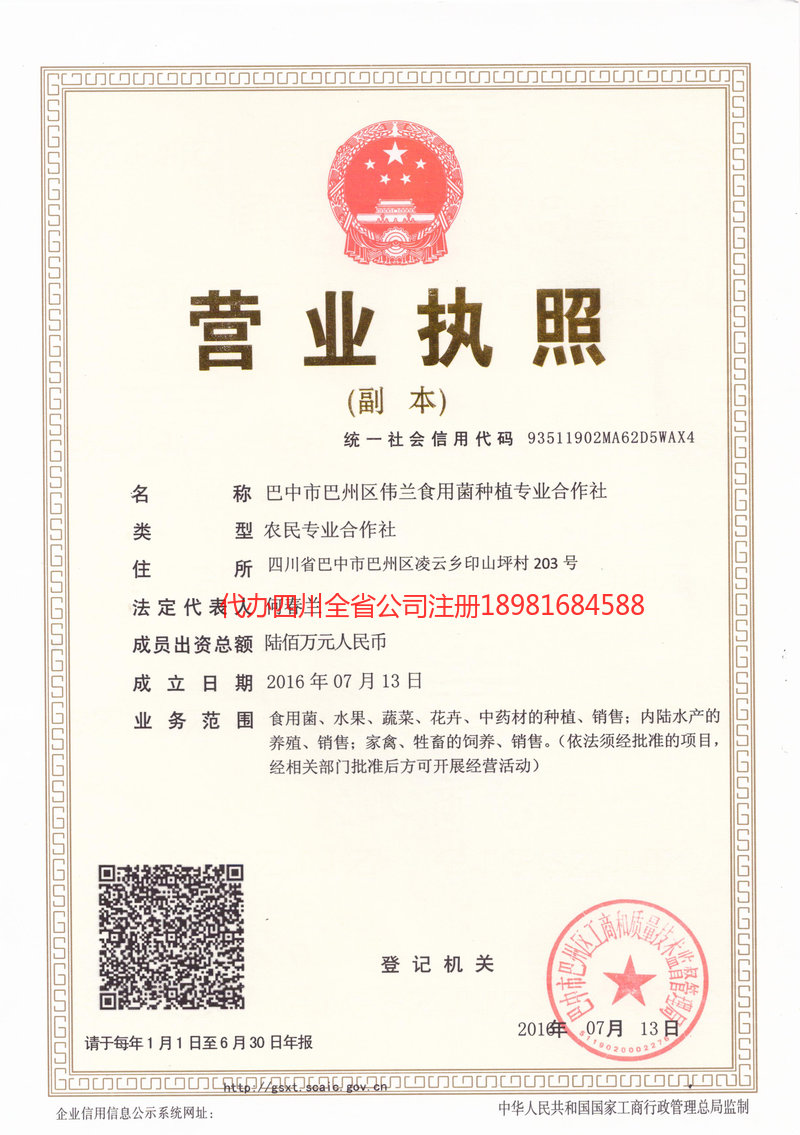 定西定西伟兰食用菌种植专业合作社